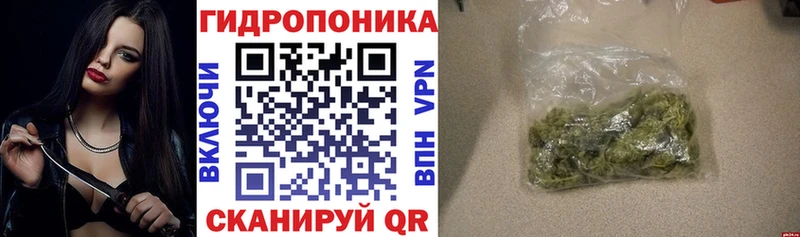 shop состав  Сегежа  Каннабис Bruce Banner  blacksprut ссылка 